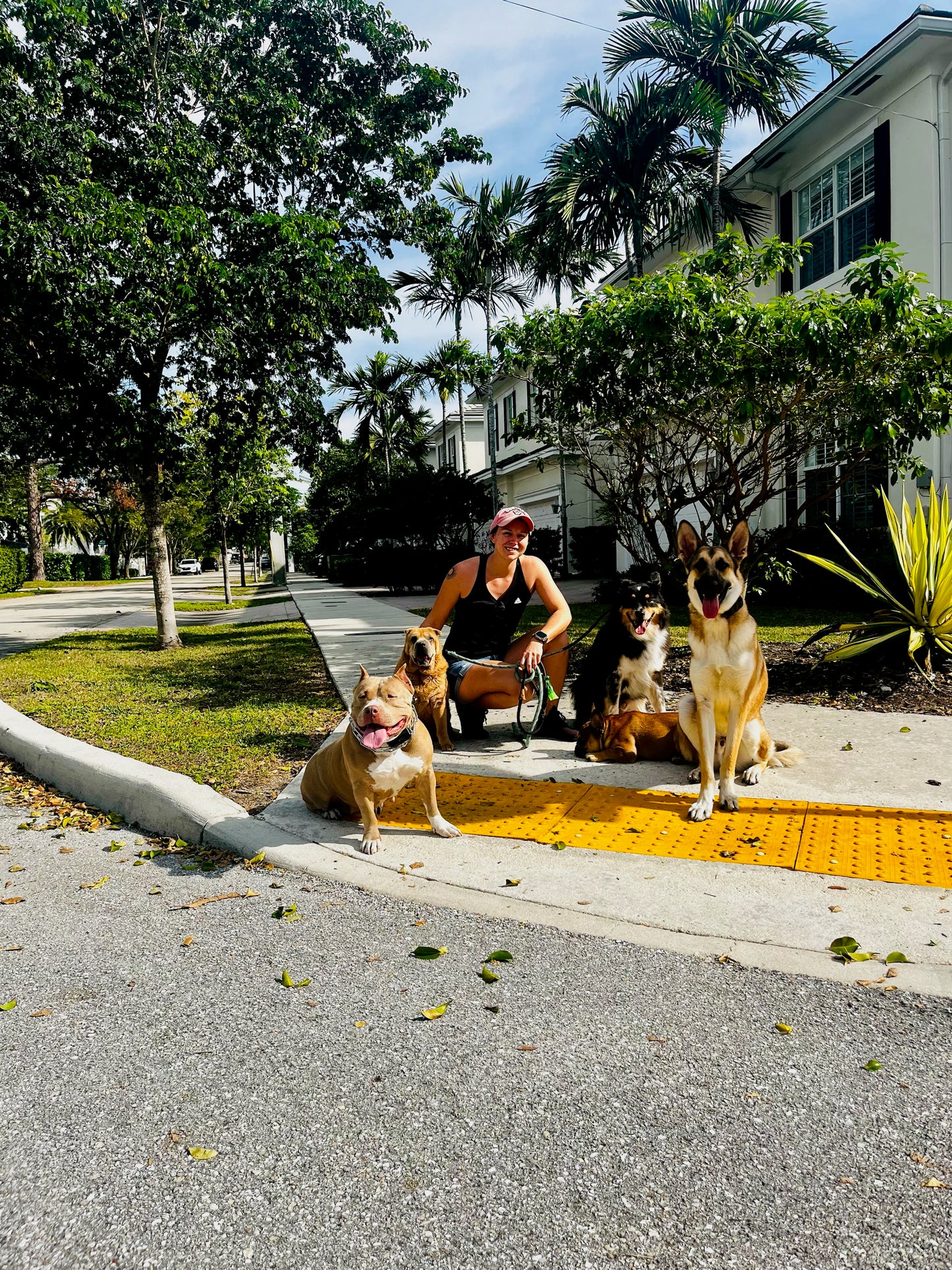 Training-Based Daycare – Structure, Socialization & Calm Energy