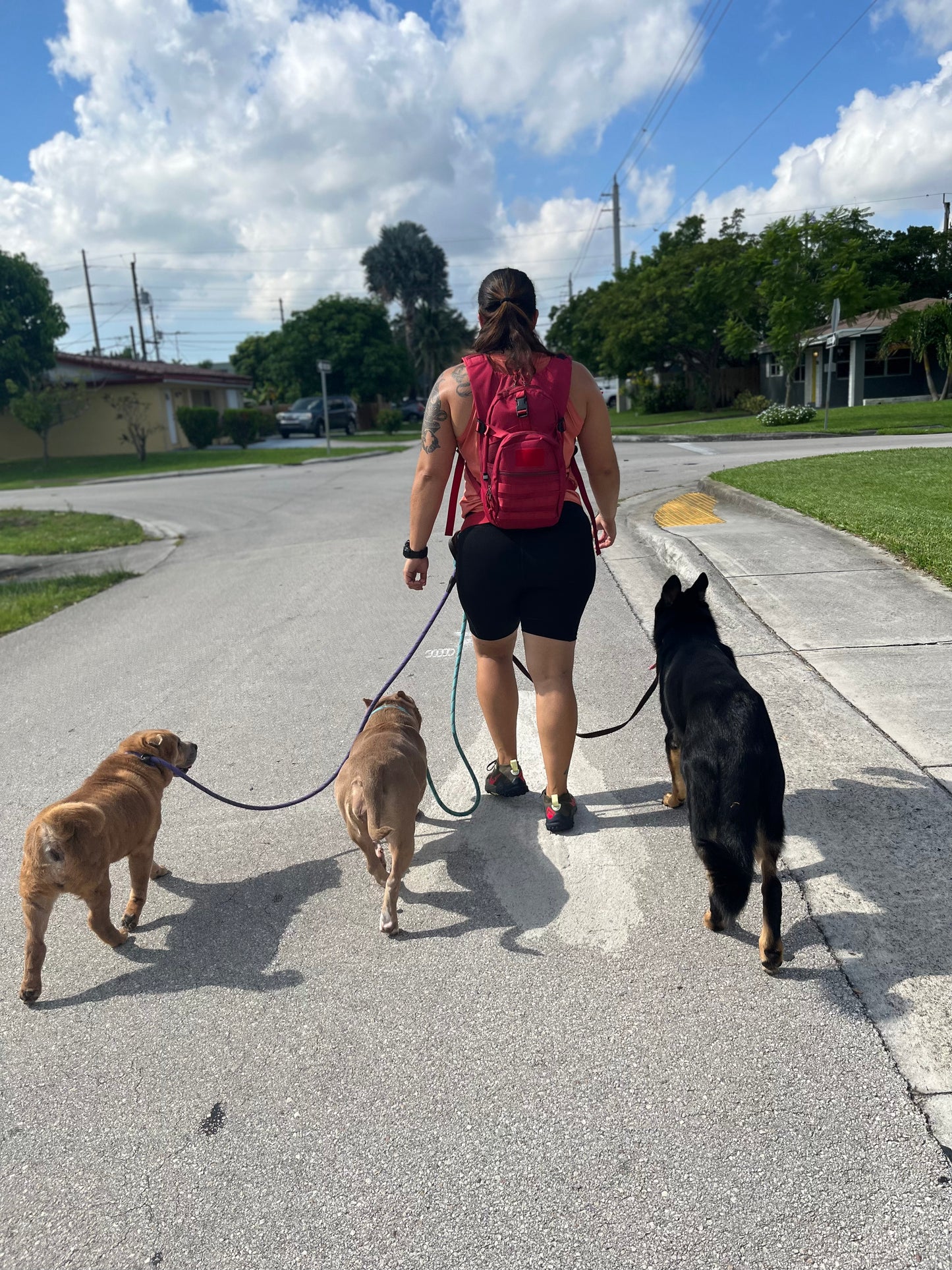 Pack Walk – Purposeful Dog Exercise (30 min)