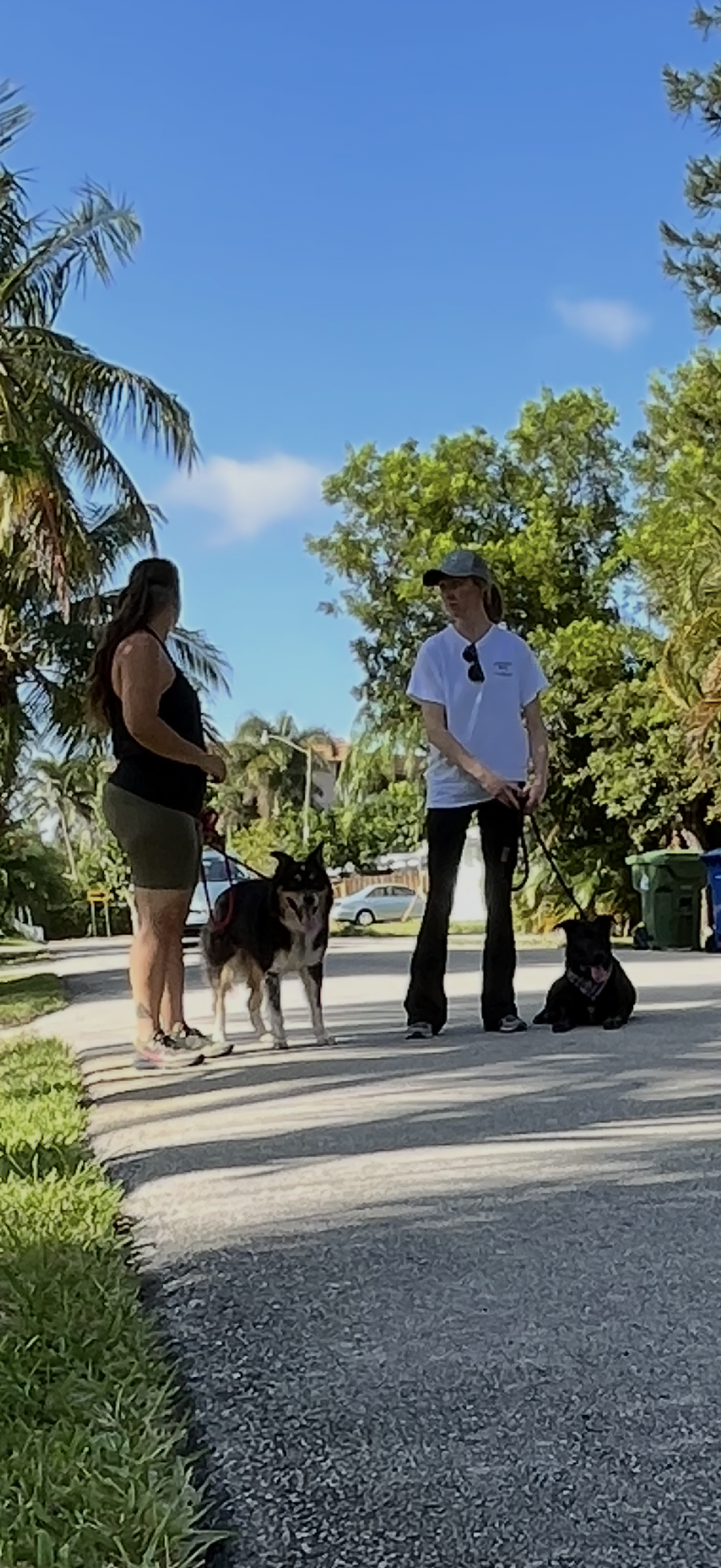 Training Session – One-on-One Guidance in Your Home