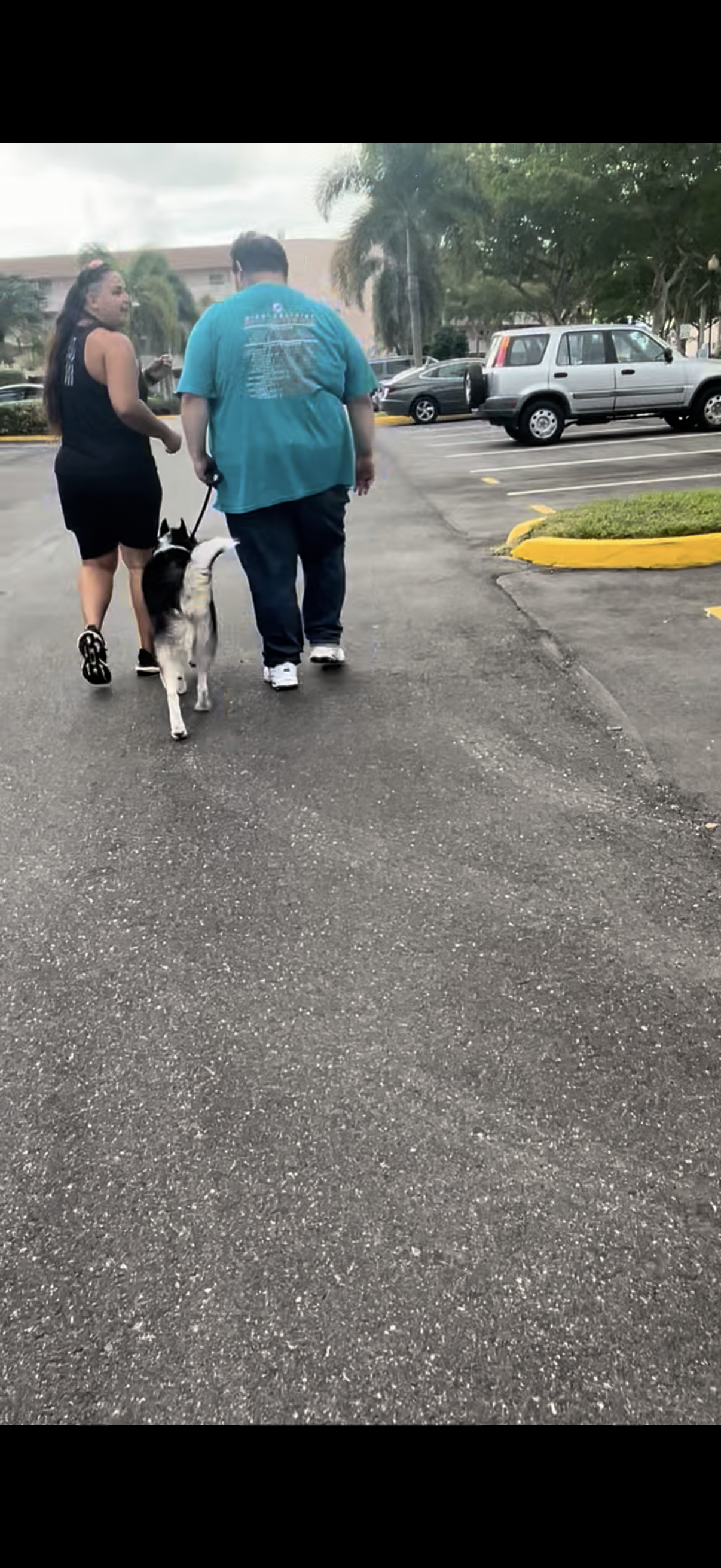 Training Session – One-on-One Guidance in Your Home