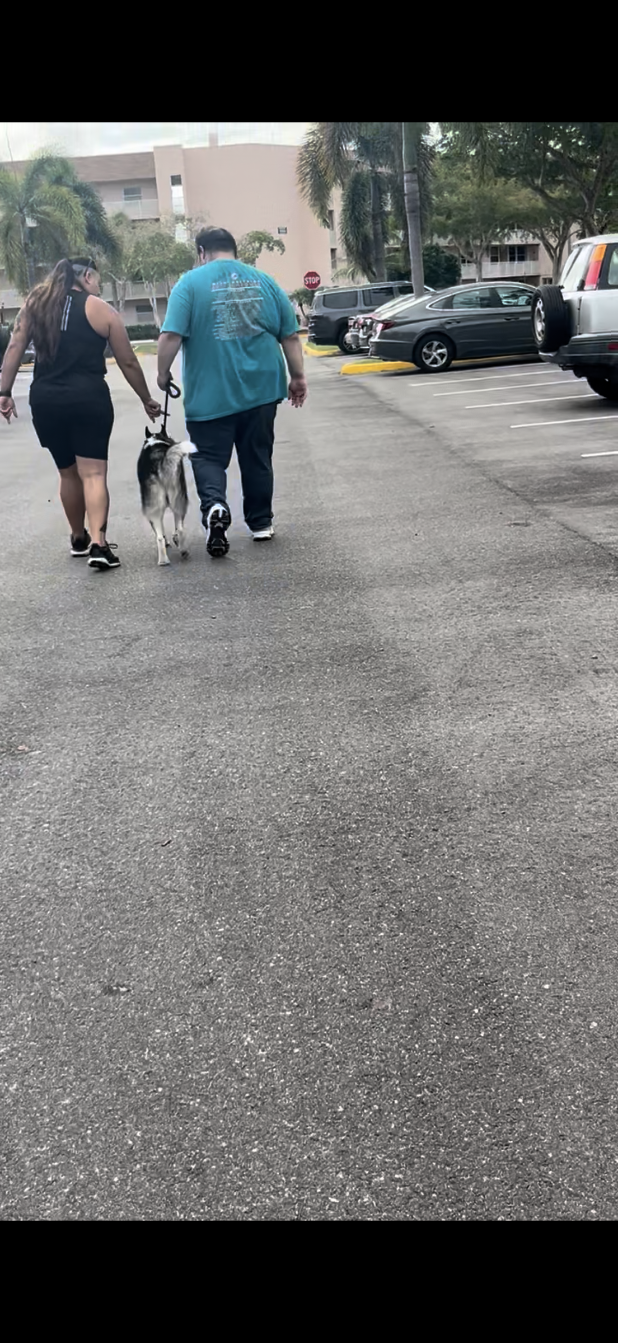 Training Session – One-on-One Guidance in Your Home