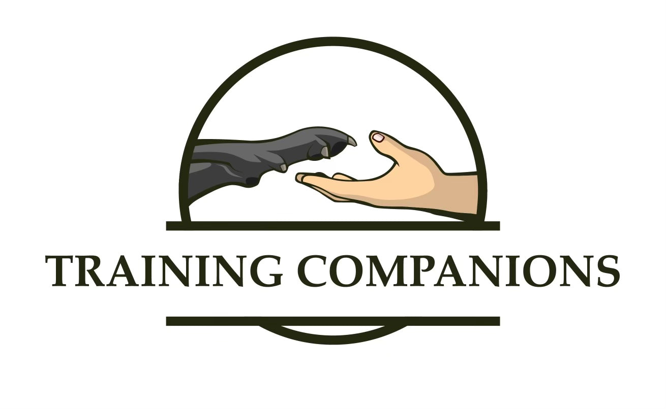 Training Companions