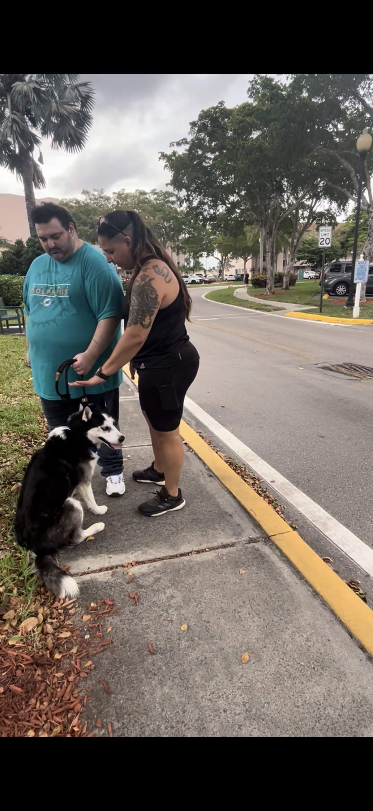 Training Session – One-on-One Guidance in Your Home