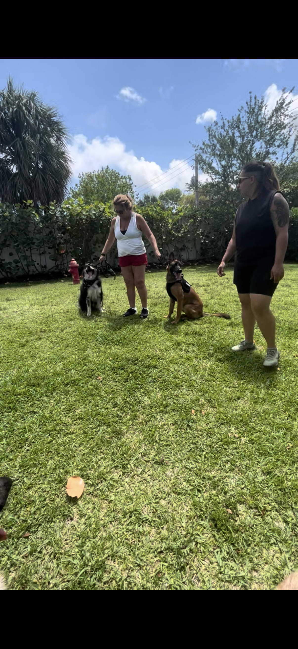 Training Session – One-on-One Guidance in Your Home