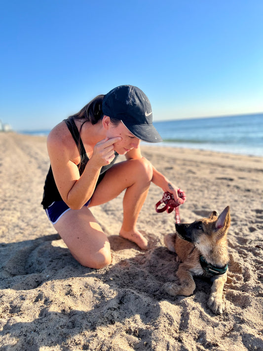 Puppy Training Bootcamp – In‑Home Board & Train (8–20 Weeks Old)