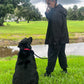 Training Session – One-on-One Guidance in Your Home