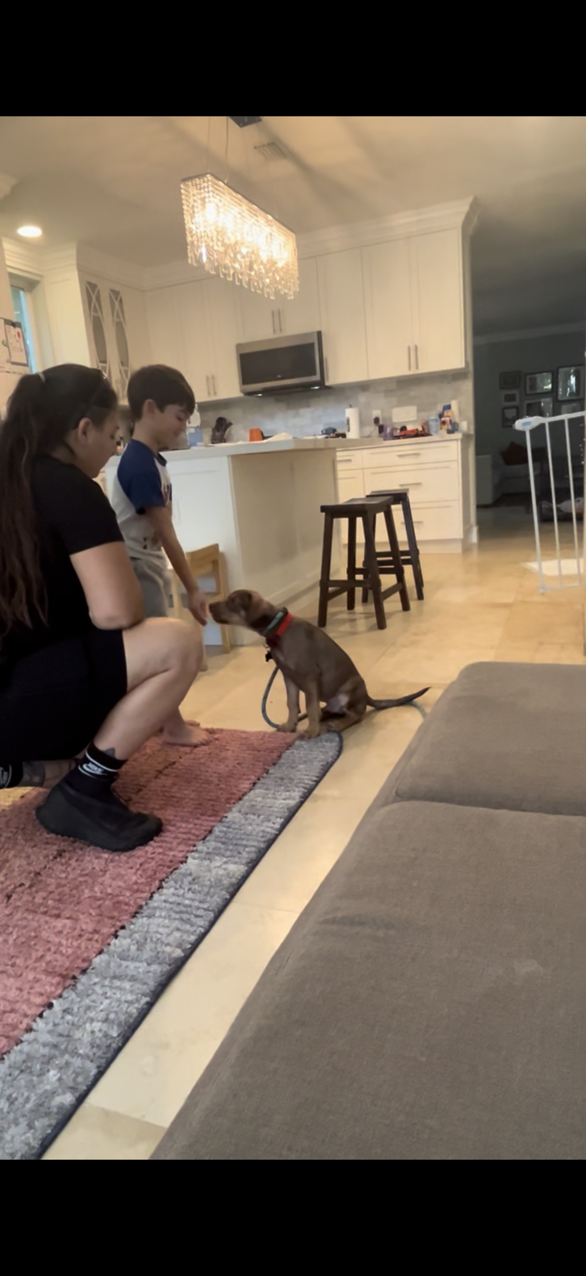 Training Session – One-on-One Guidance in Your Home