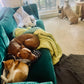 In-Home Boarding - Fort Lauderdale