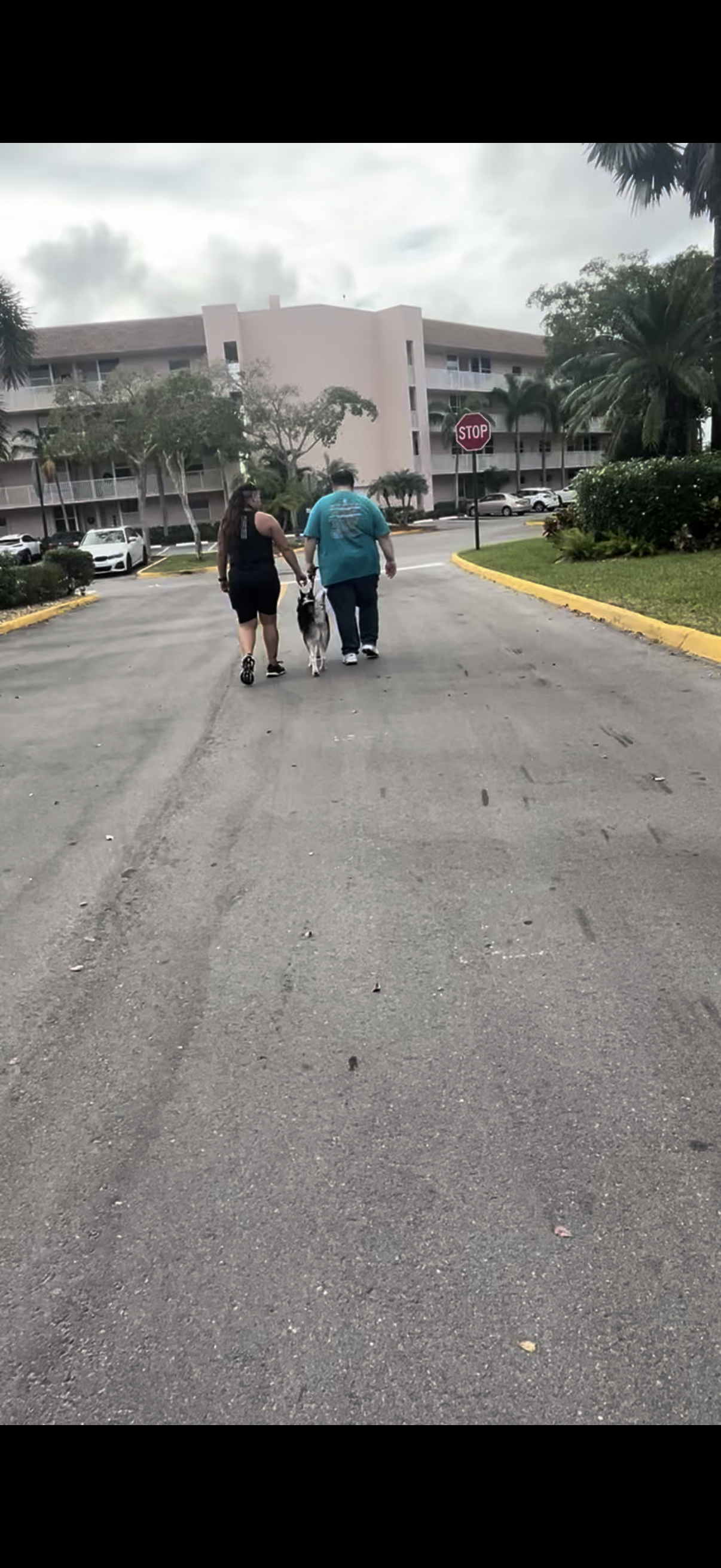 Training Session – One-on-One Guidance in Your Home