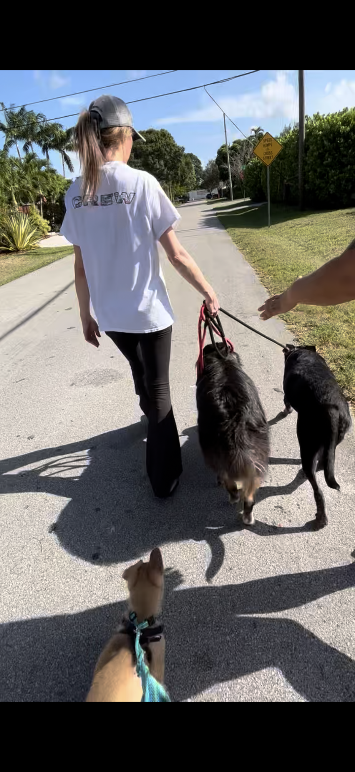 Training Session – One-on-One Guidance in Your Home