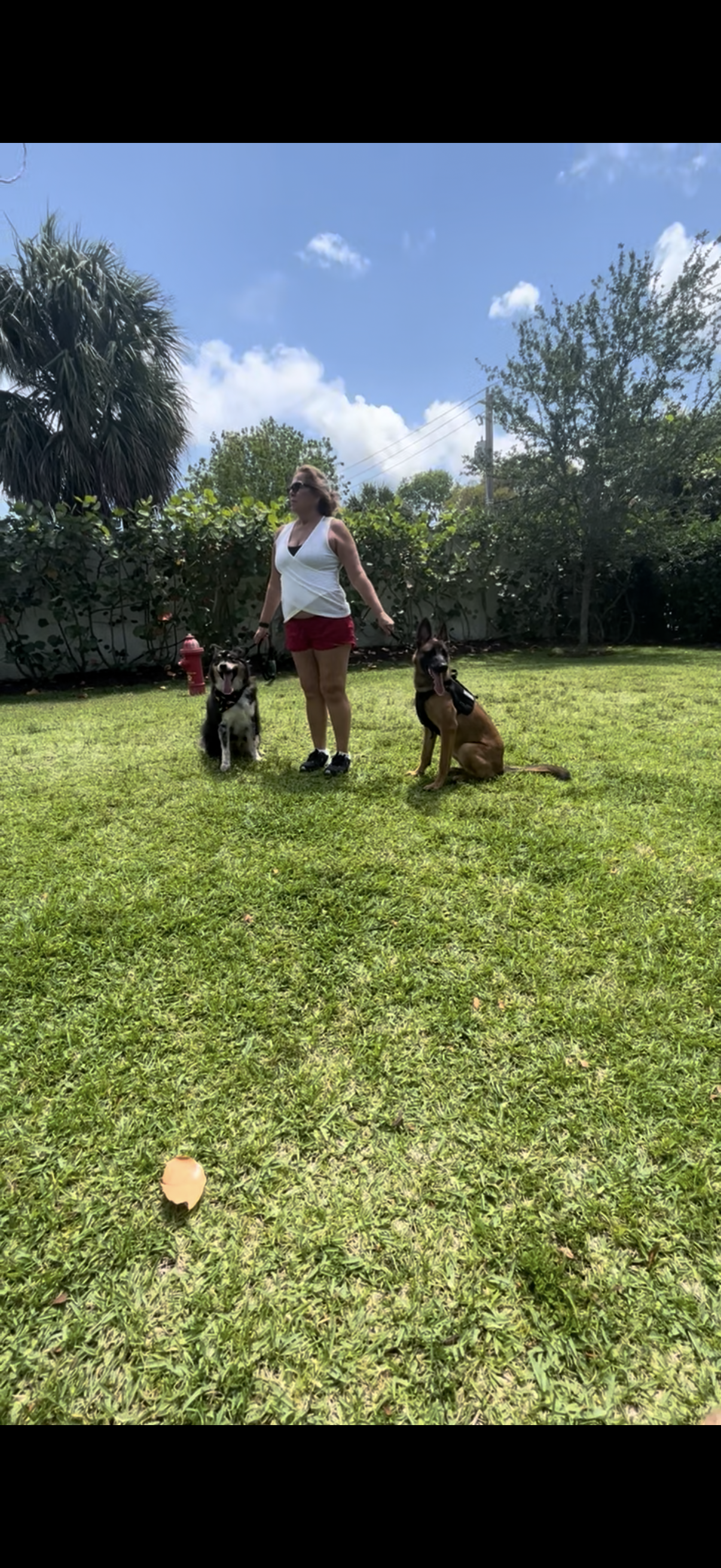 Training Session – One-on-One Guidance in Your Home