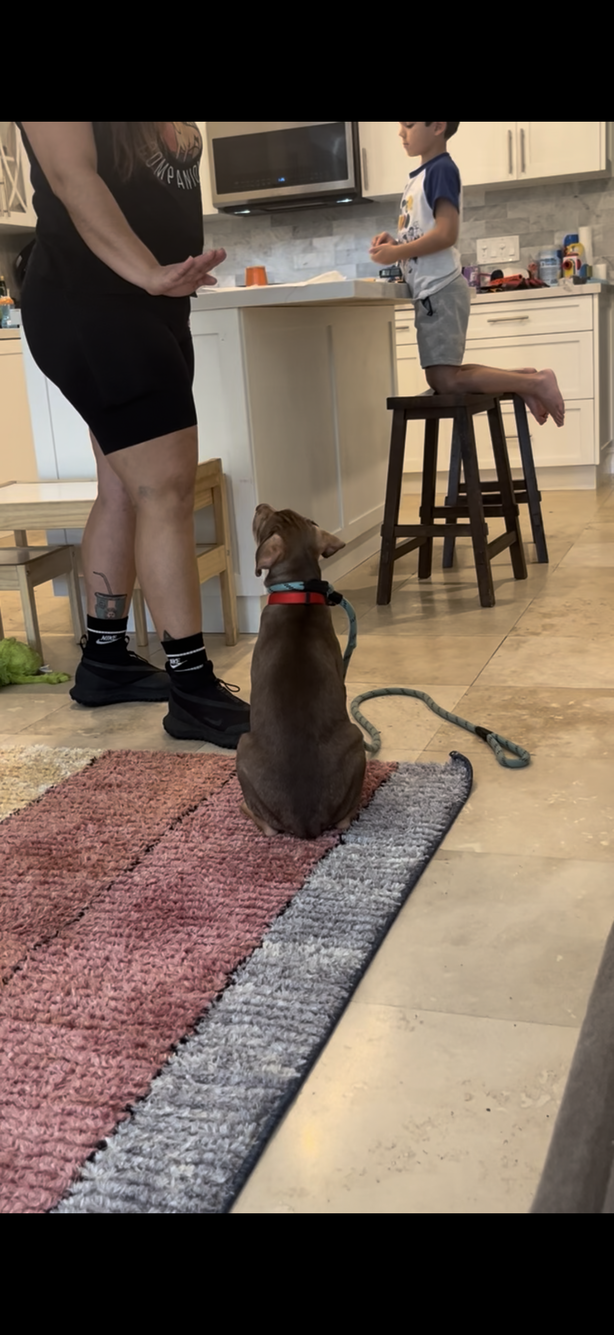 Training Session – One-on-One Guidance in Your Home