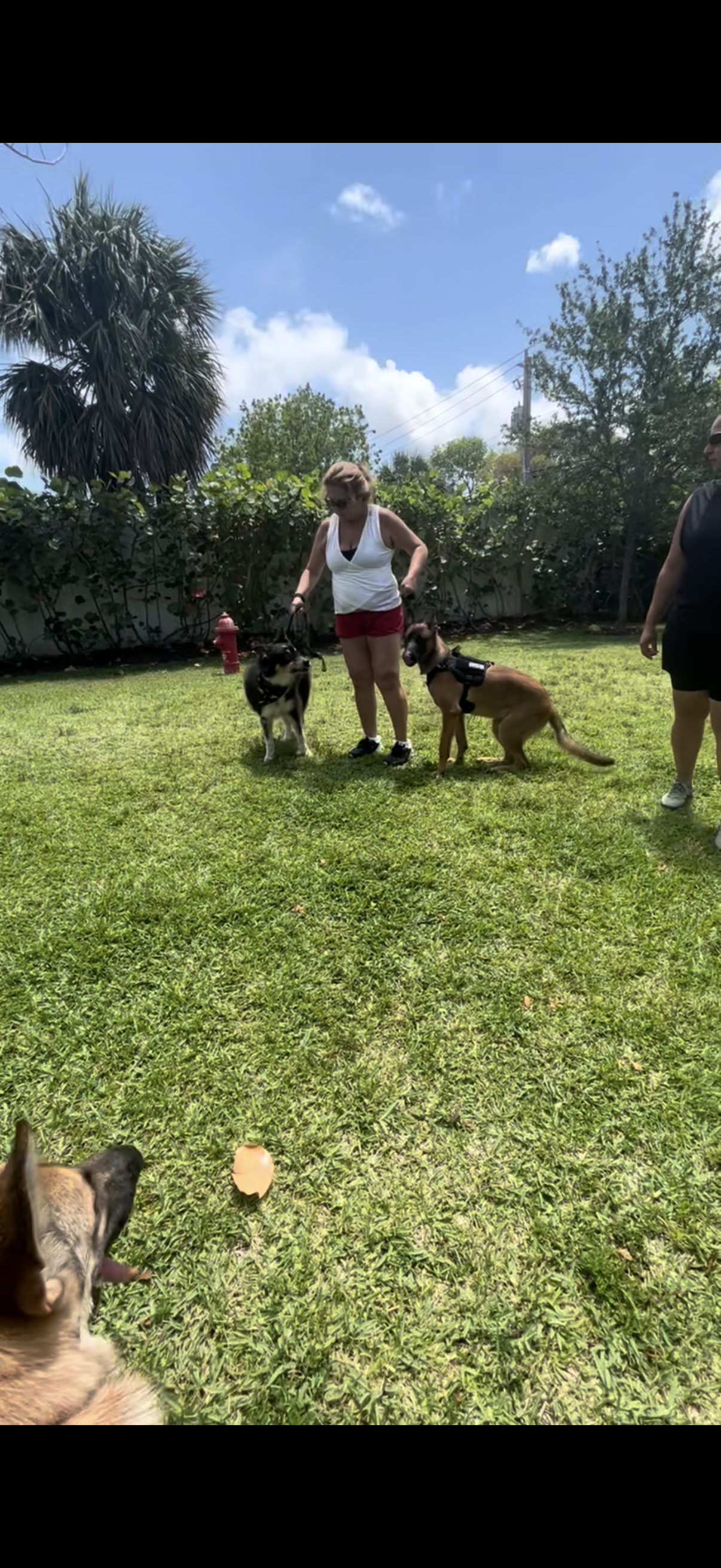 Training Session – One-on-One Guidance in Your Home