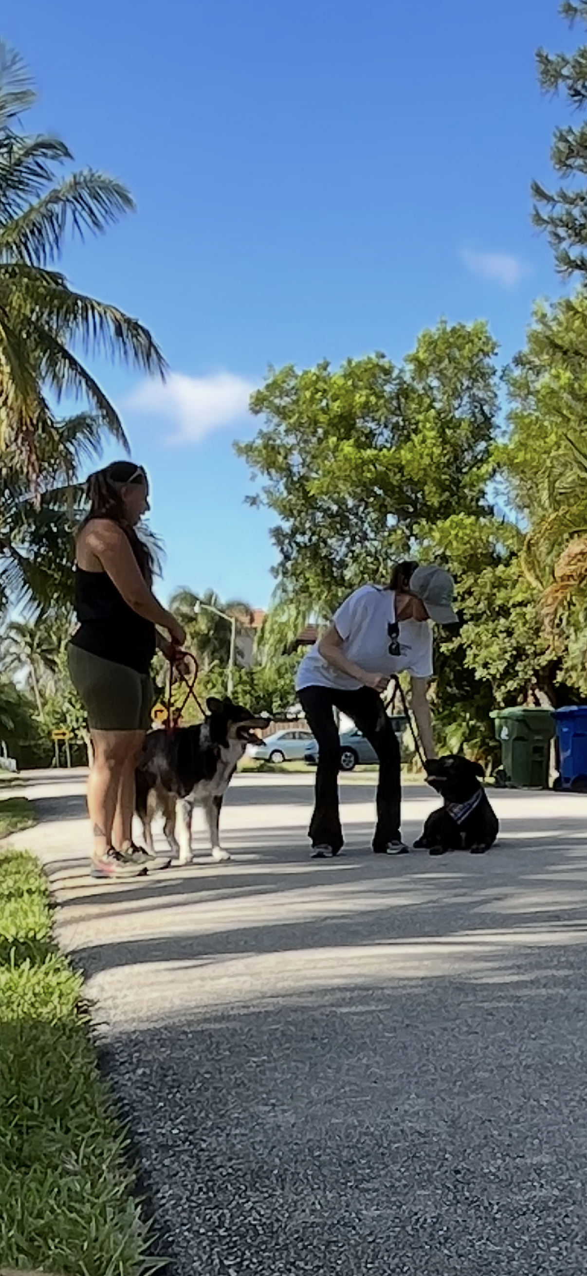 Training Session – One-on-One Guidance in Your Home