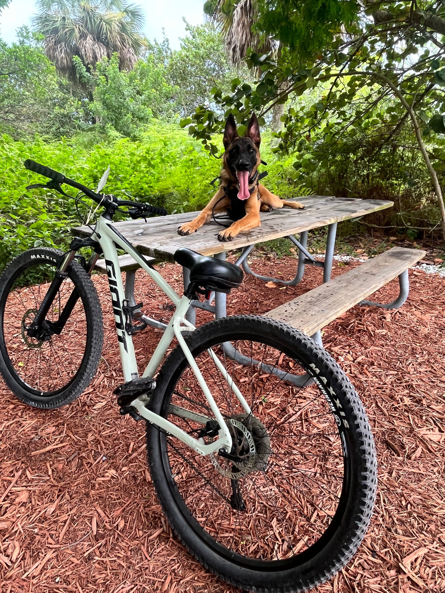 Treadmill & Bike Exercise