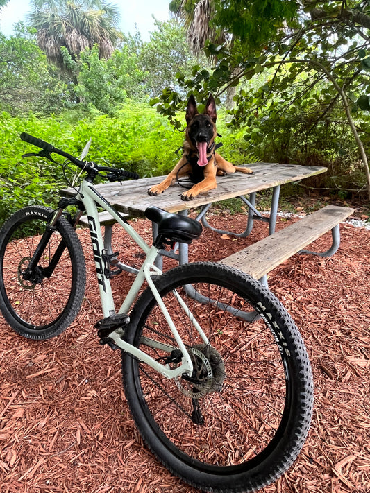 Treadmill & Bike Exercise