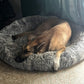 In-Home Boarding - Fort Lauderdale