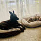 Puppy Training Bootcamp – In‑Home Board & Train (8–20 Weeks Old)