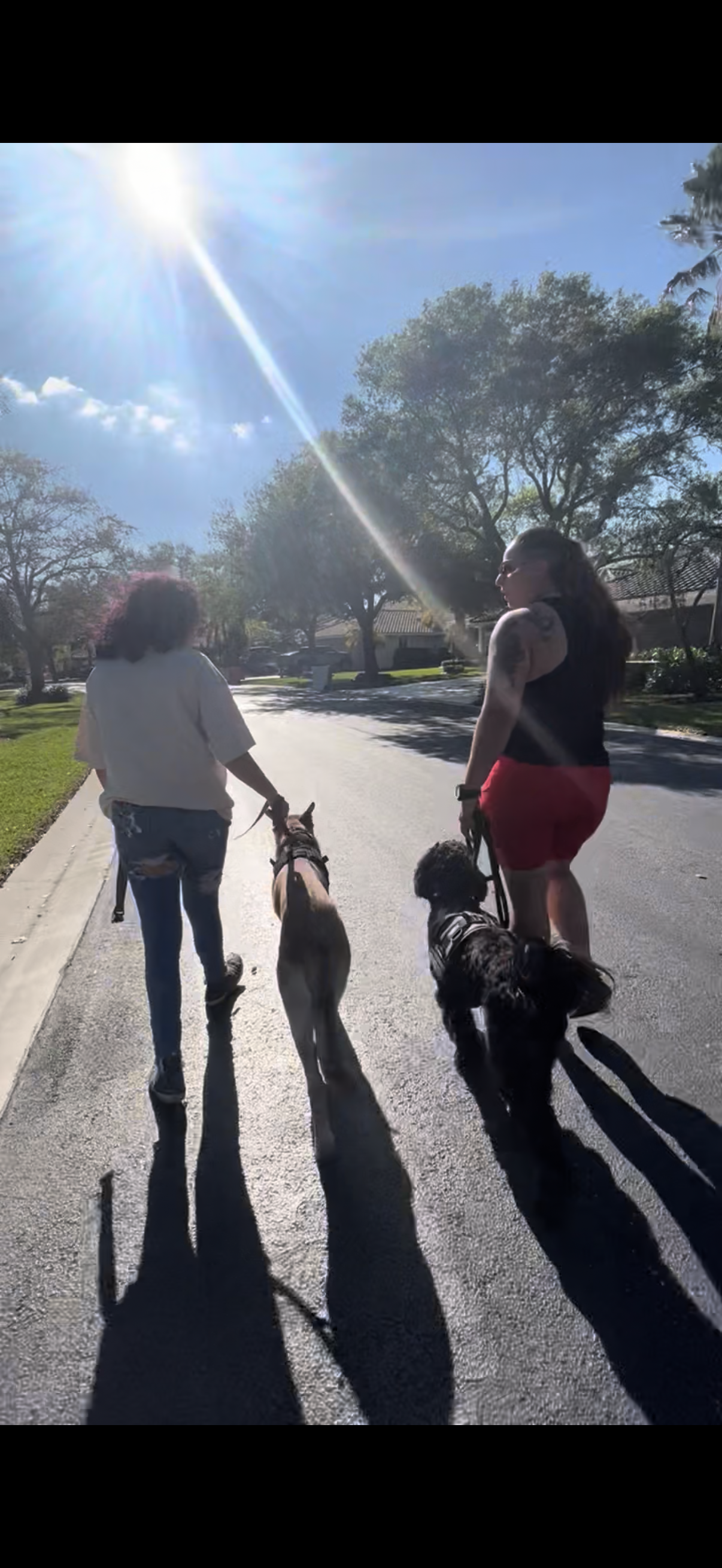 Training Session – One-on-One Guidance in Your Home