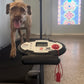 Treadmill Exercise