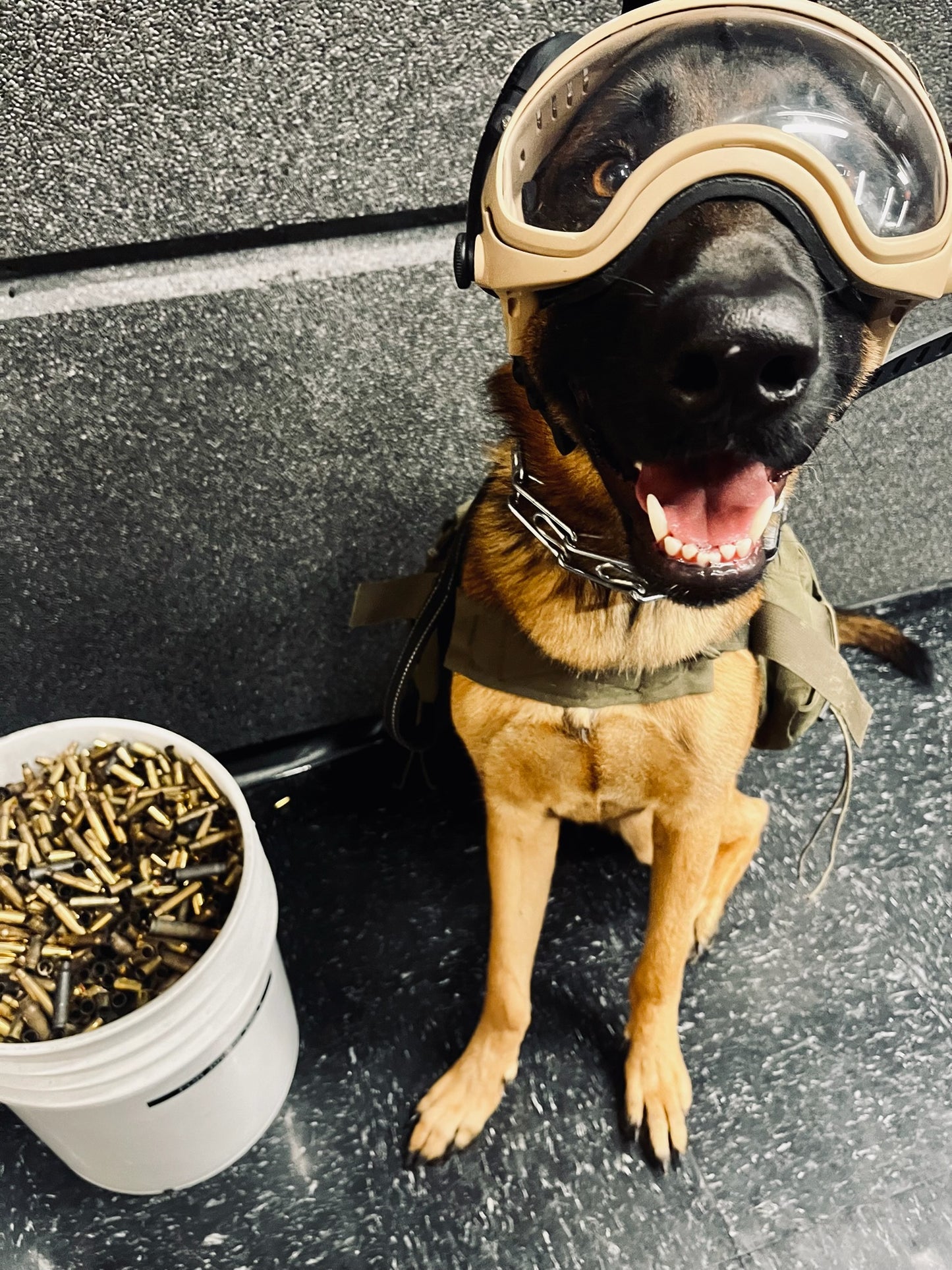 Founders Pack + Protect Course