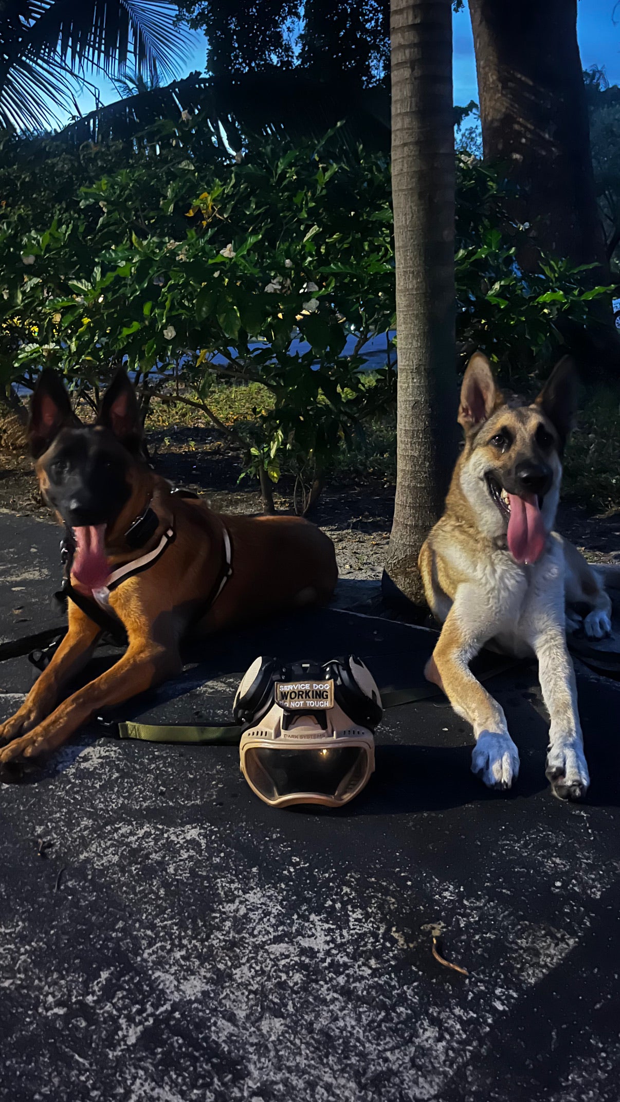 Founders Pack + Protect Course