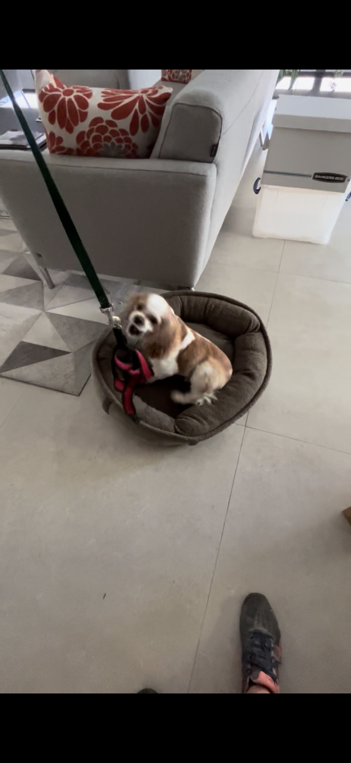 Training Session – One-on-One Guidance in Your Home