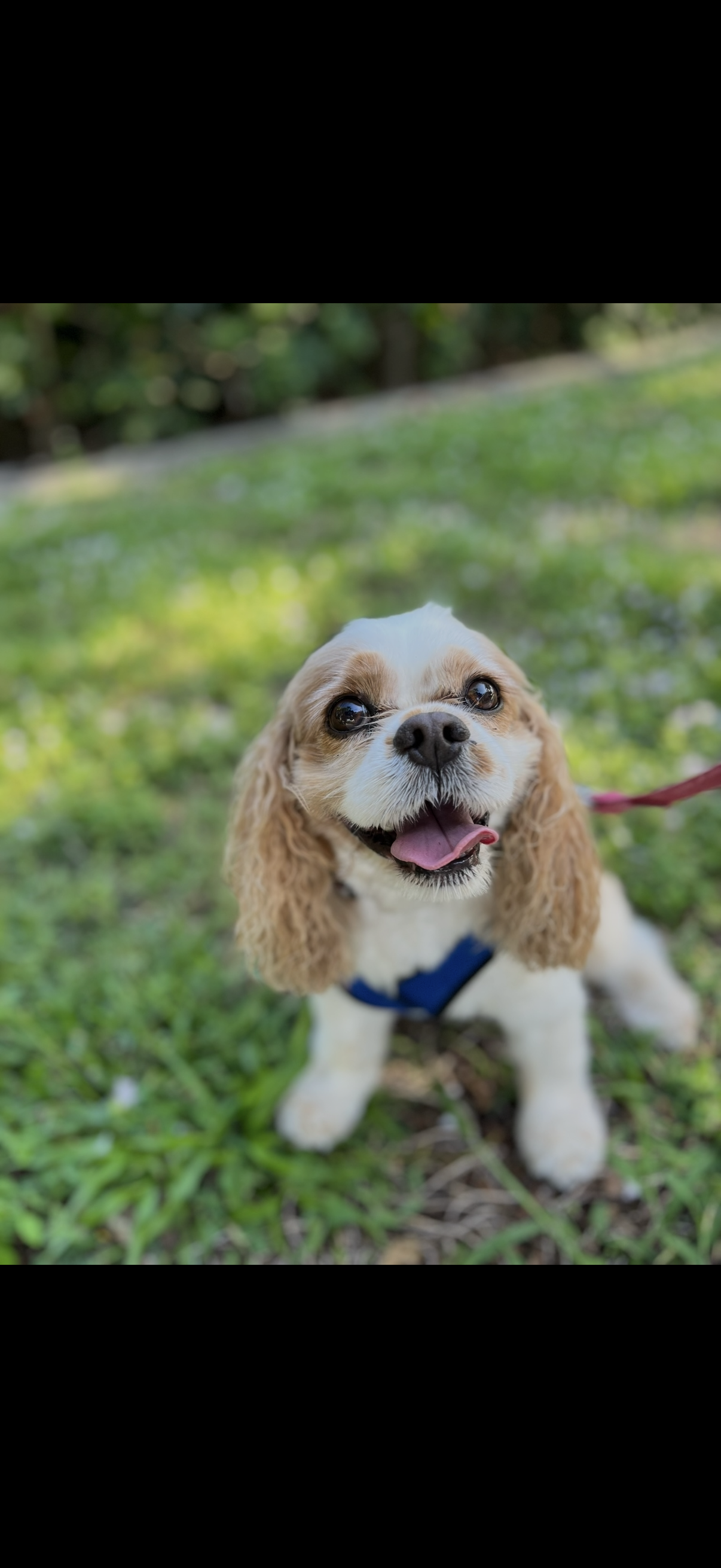 Training Session – One-on-One Guidance in Your Home