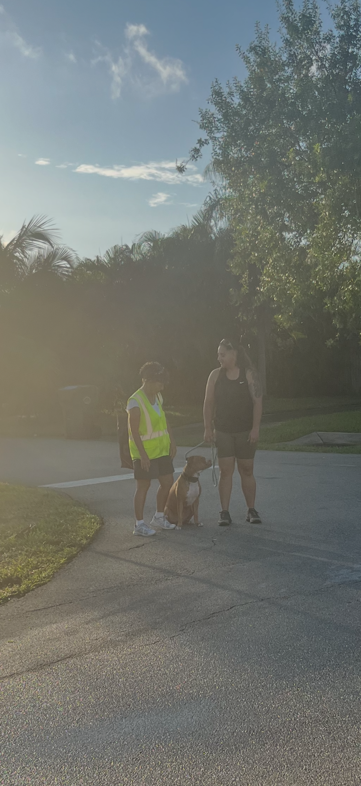 Training Session – One-on-One Guidance in Your Home