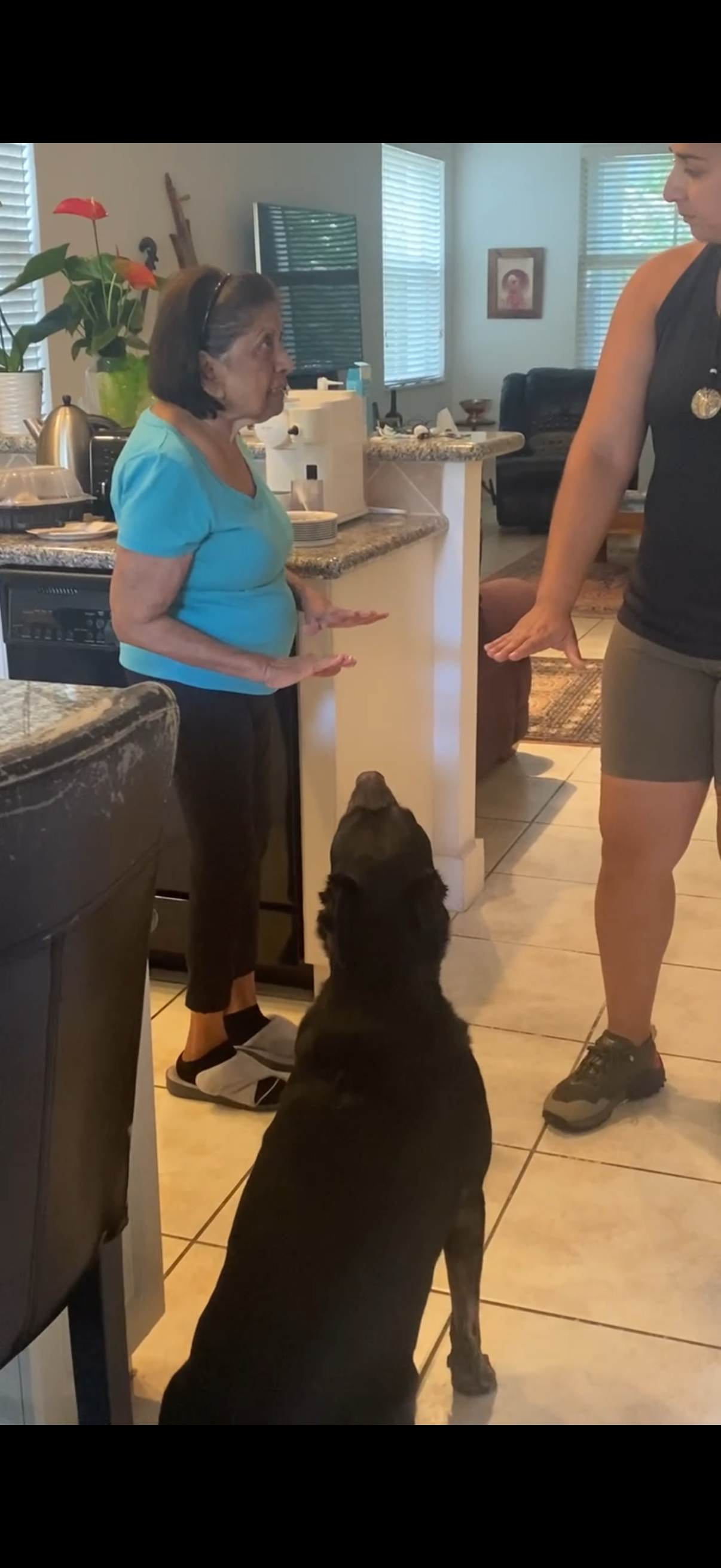 Training Session – One-on-One Guidance in Your Home