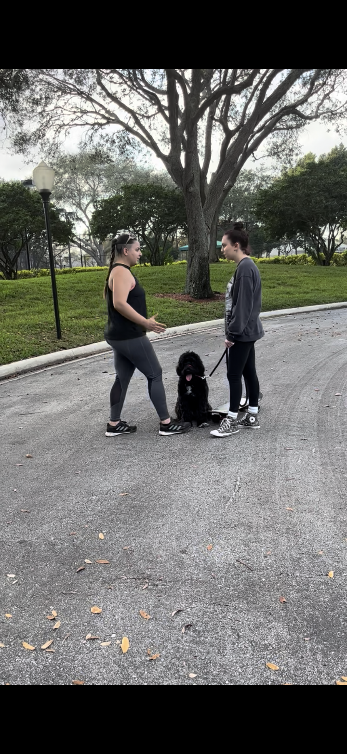 Training Session – One-on-One Guidance in Your Home