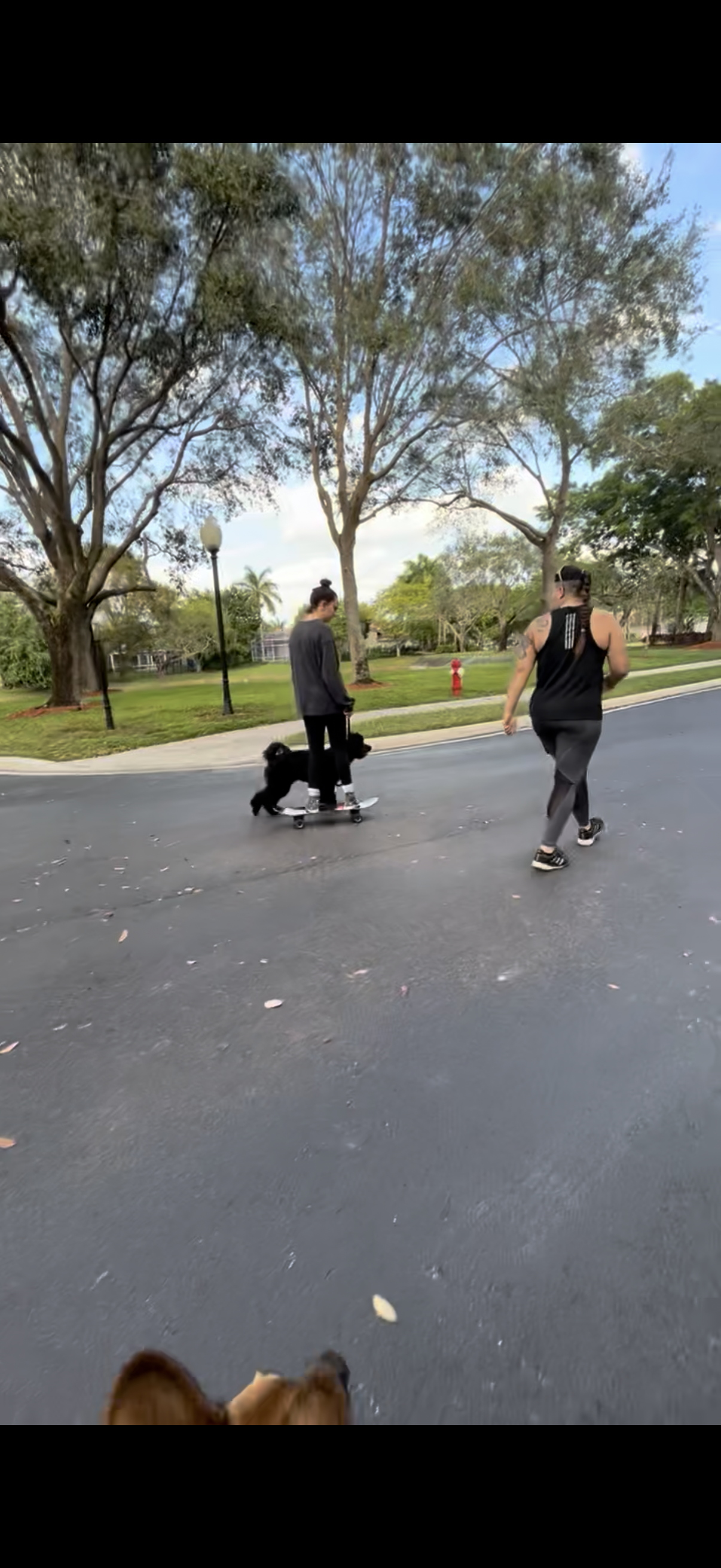 Training Session – One-on-One Guidance in Your Home