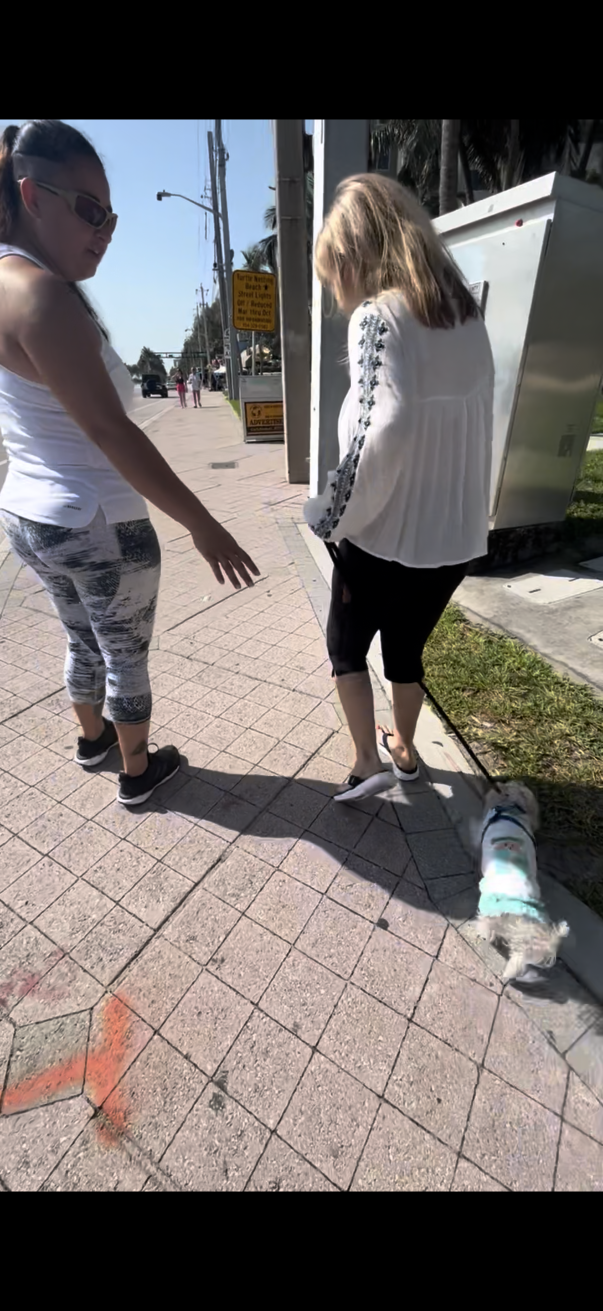 Training Session – One-on-One Guidance in Your Home