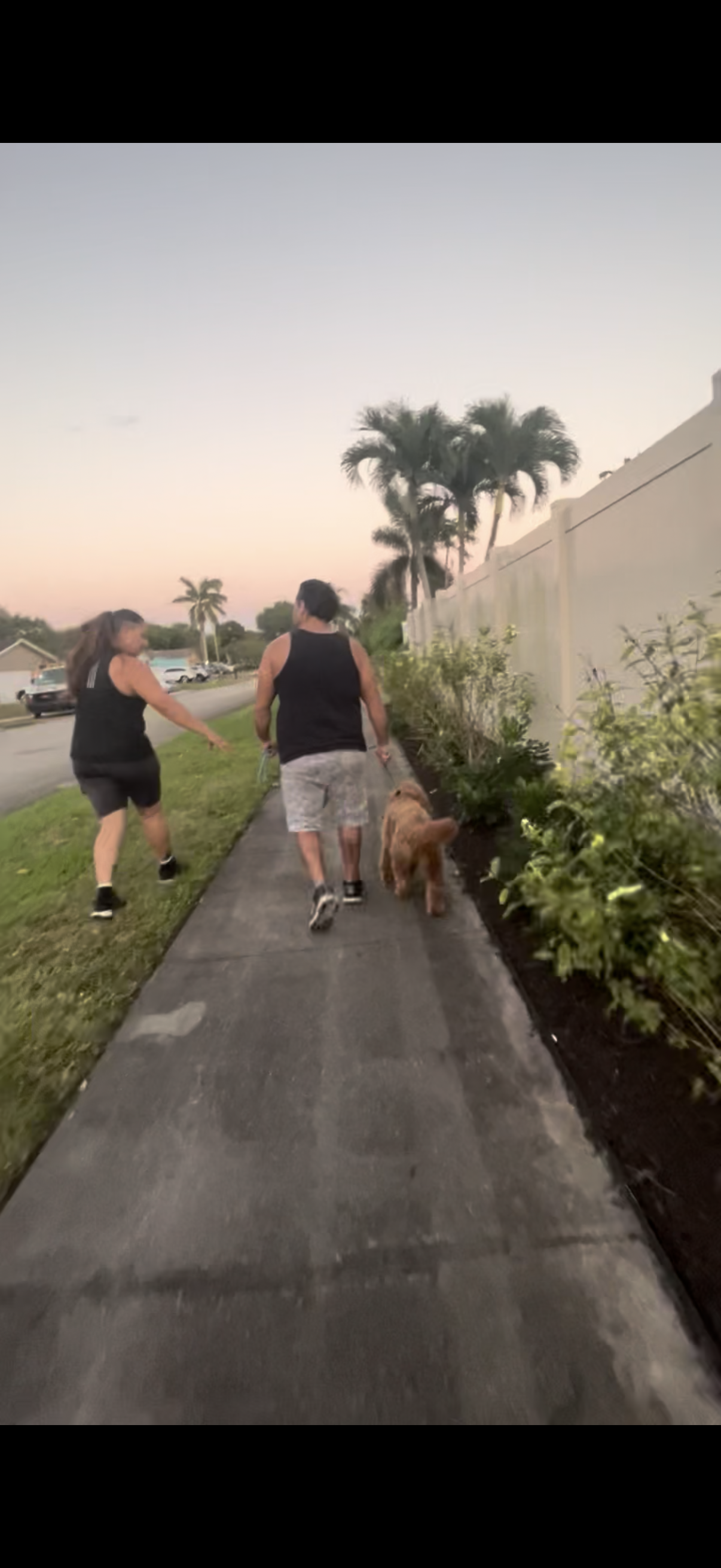 Training Session – One-on-One Guidance in Your Home