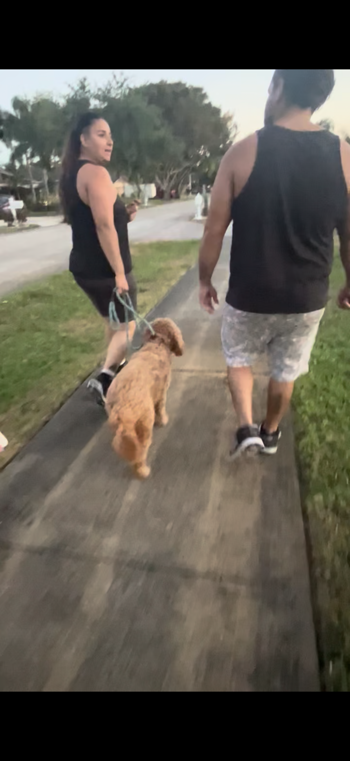 Training Session – One-on-One Guidance in Your Home