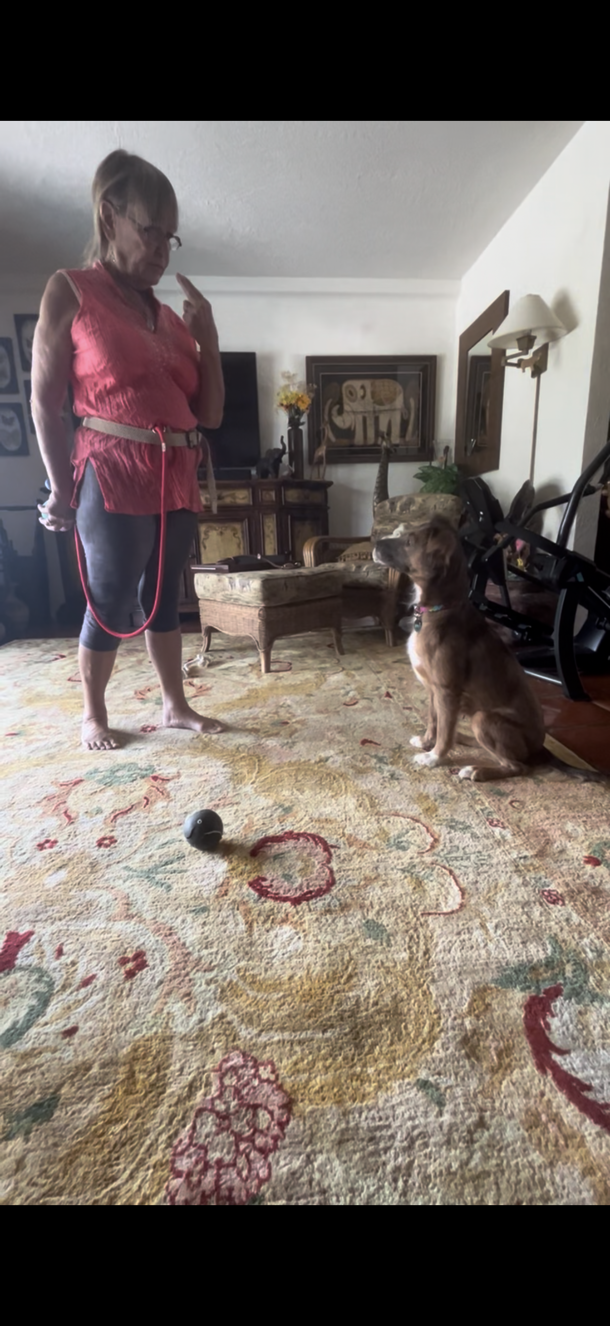 Training Session – One-on-One Guidance in Your Home