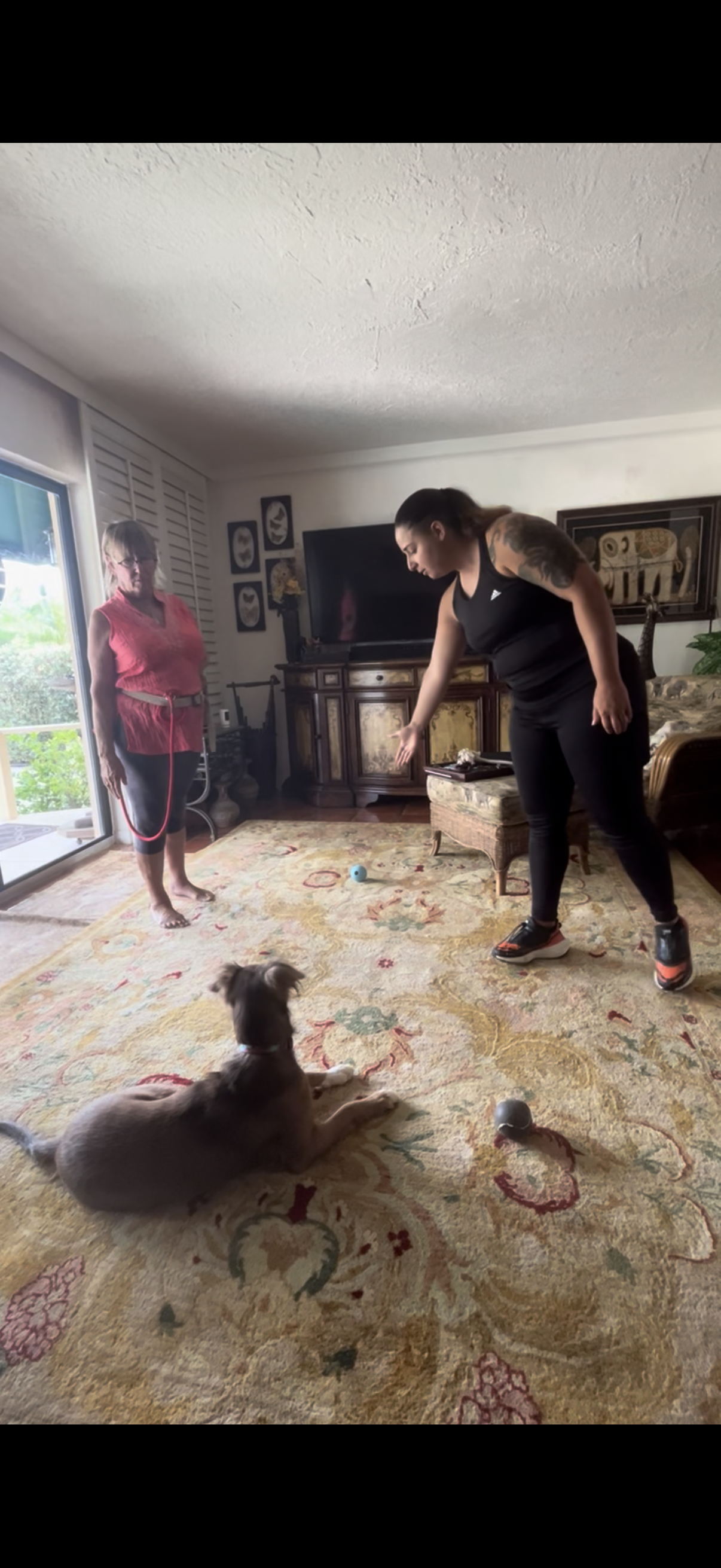 Training Session – One-on-One Guidance in Your Home