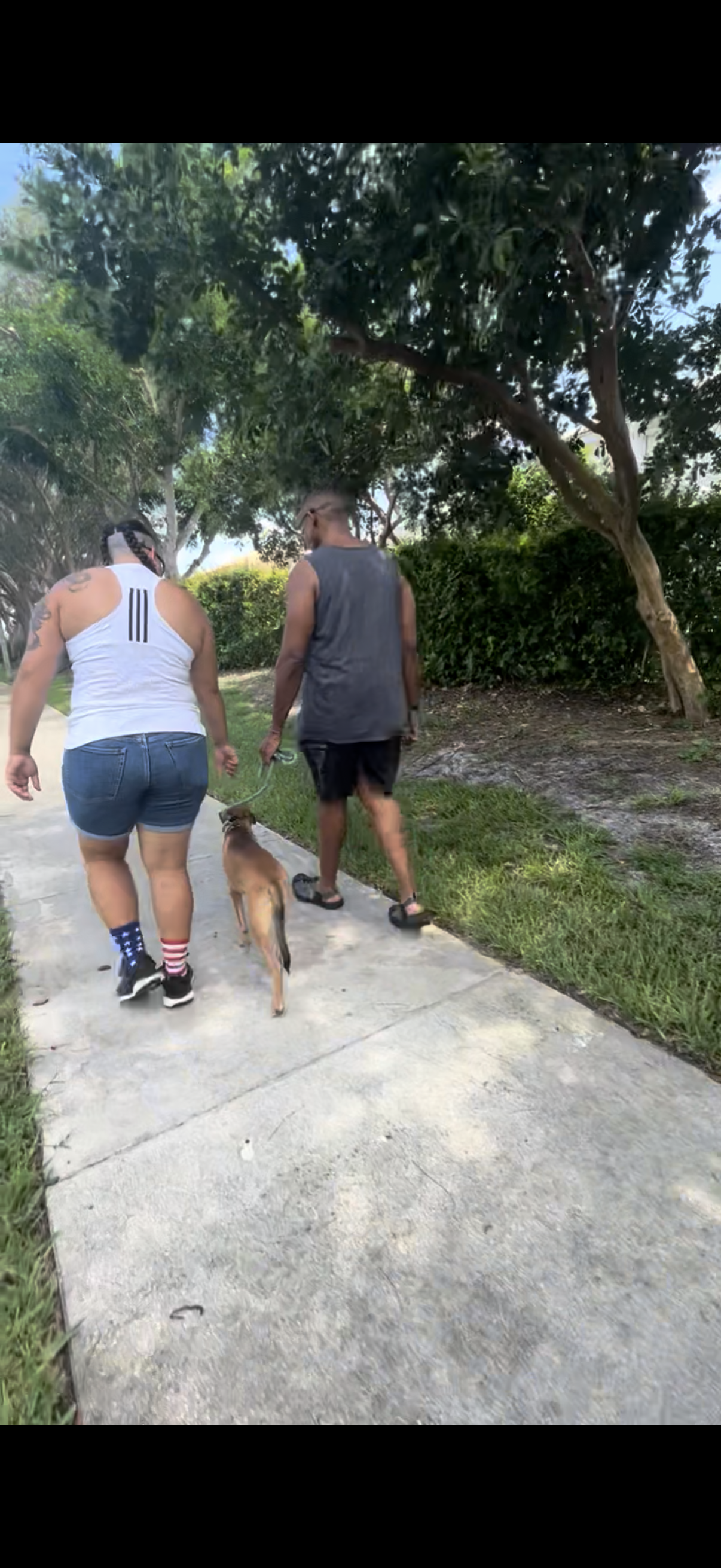 Training Session – One-on-One Guidance in Your Home