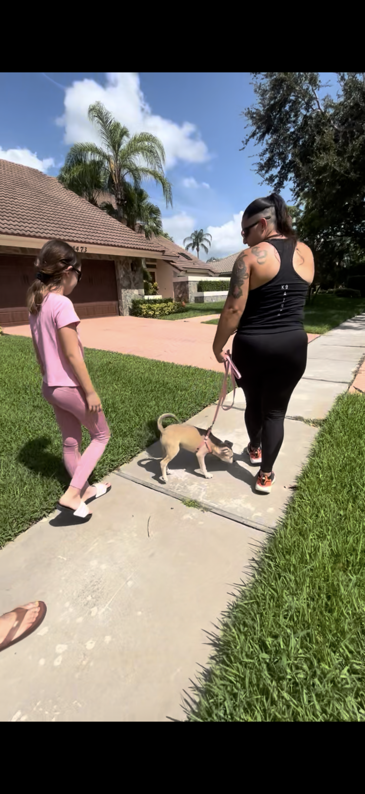 Training Session – One-on-One Guidance in Your Home