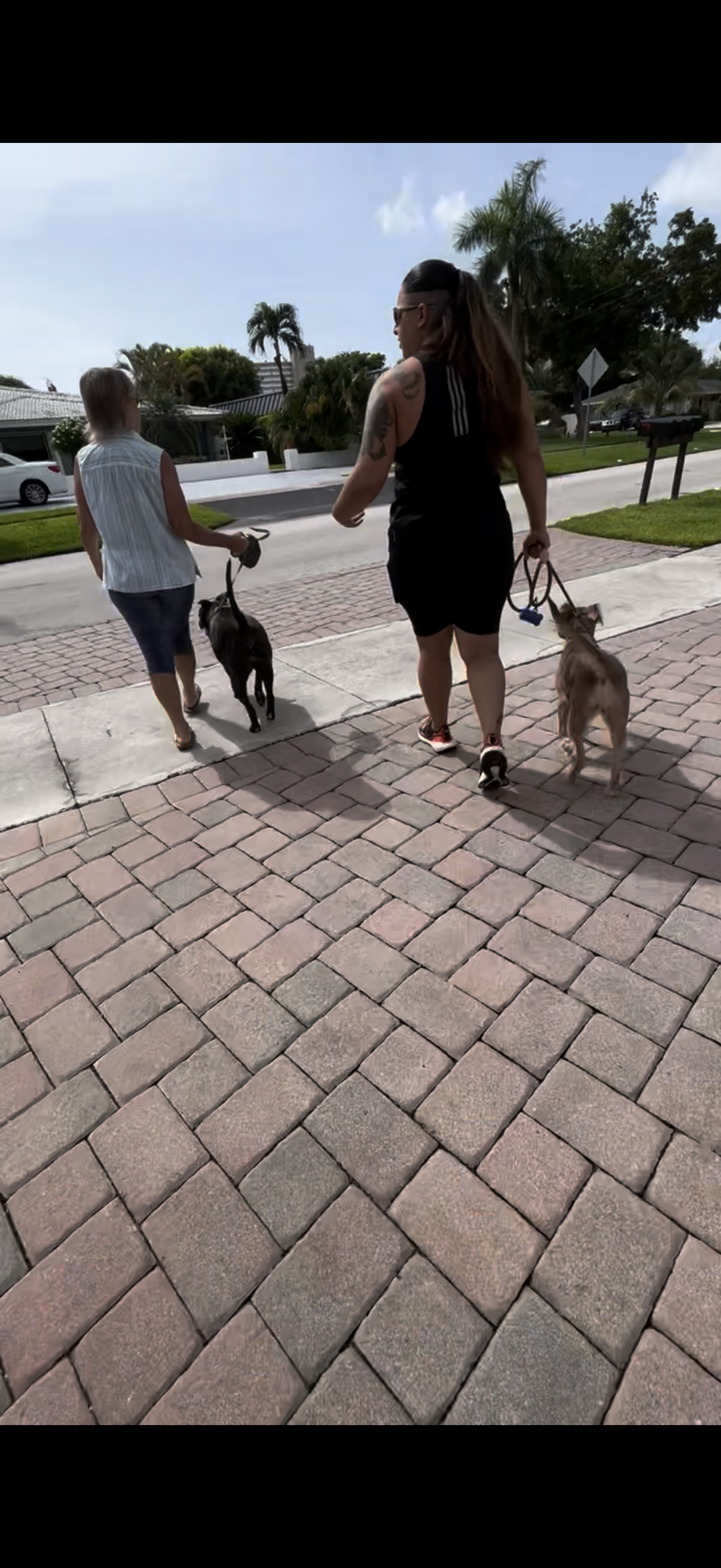 Training Session – One-on-One Guidance in Your Home