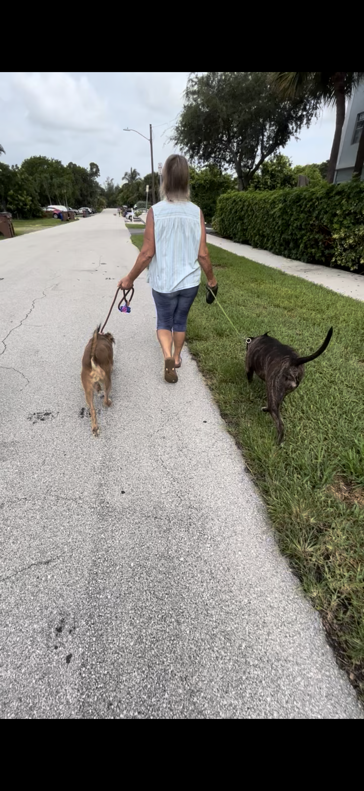 Training Session – One-on-One Guidance in Your Home