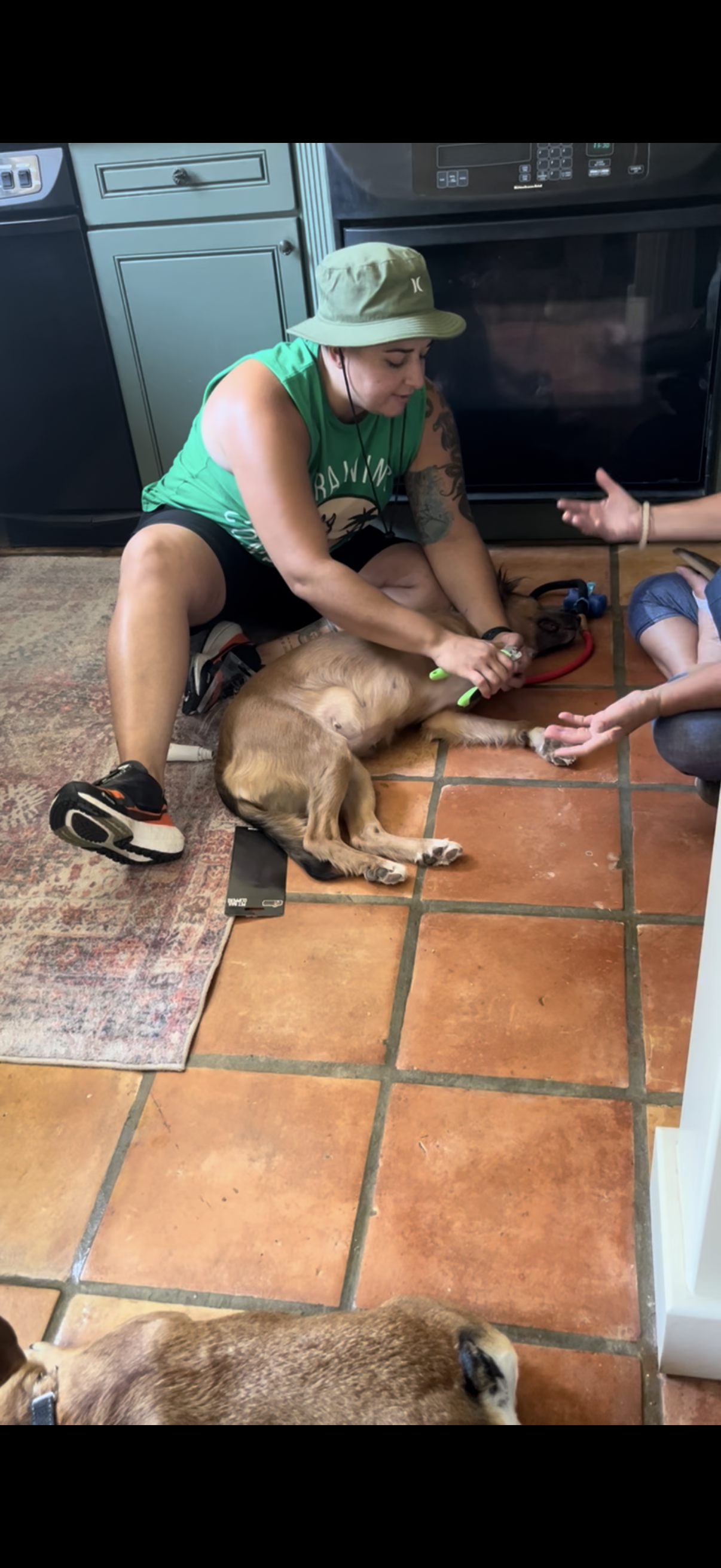 Training Session – One-on-One Guidance in Your Home