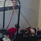 Treadmill Exercise